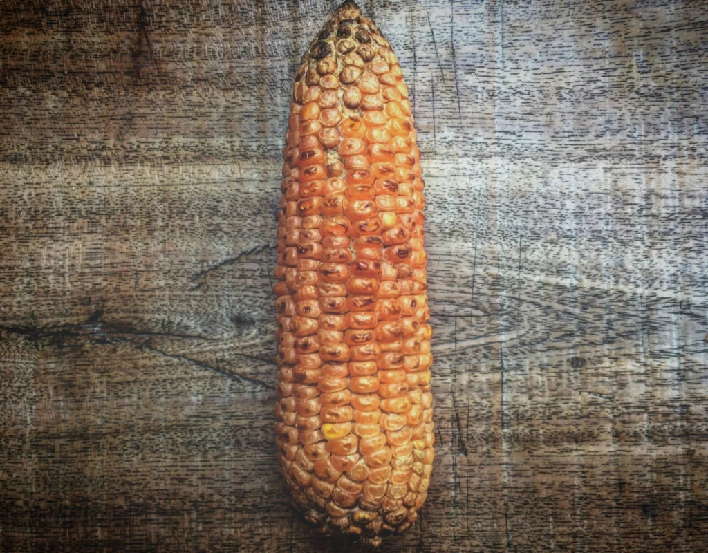 how to make cornbread from scratch