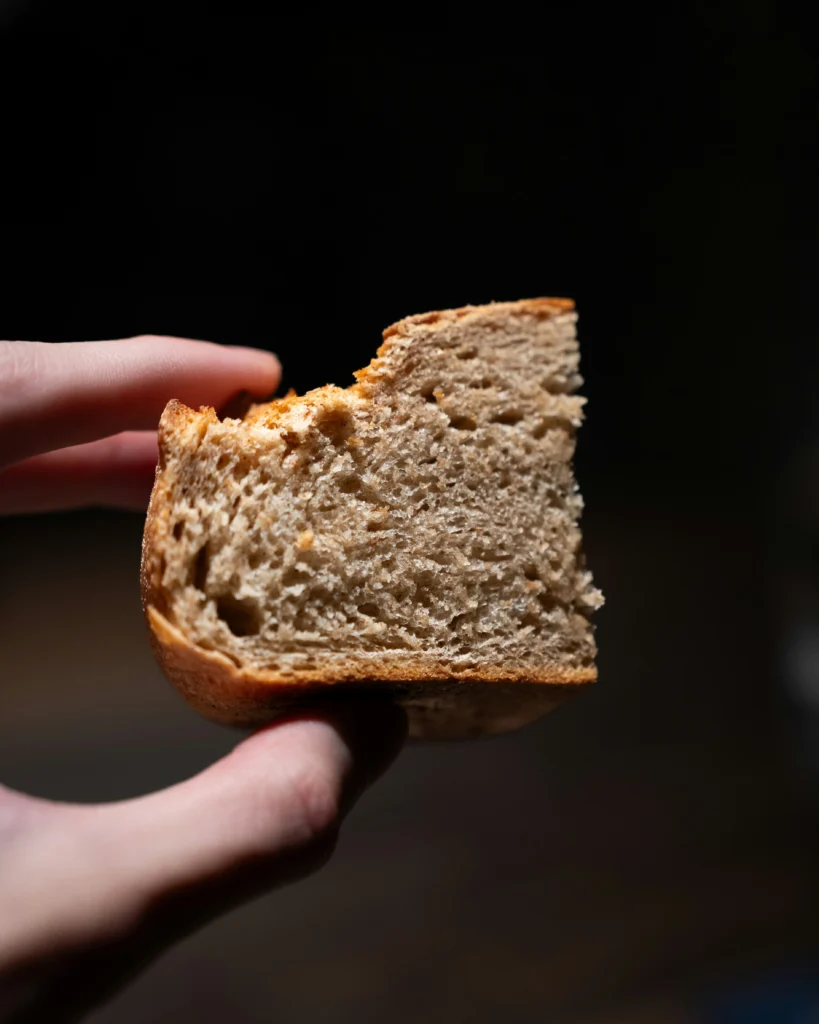 sourdough mom recipes