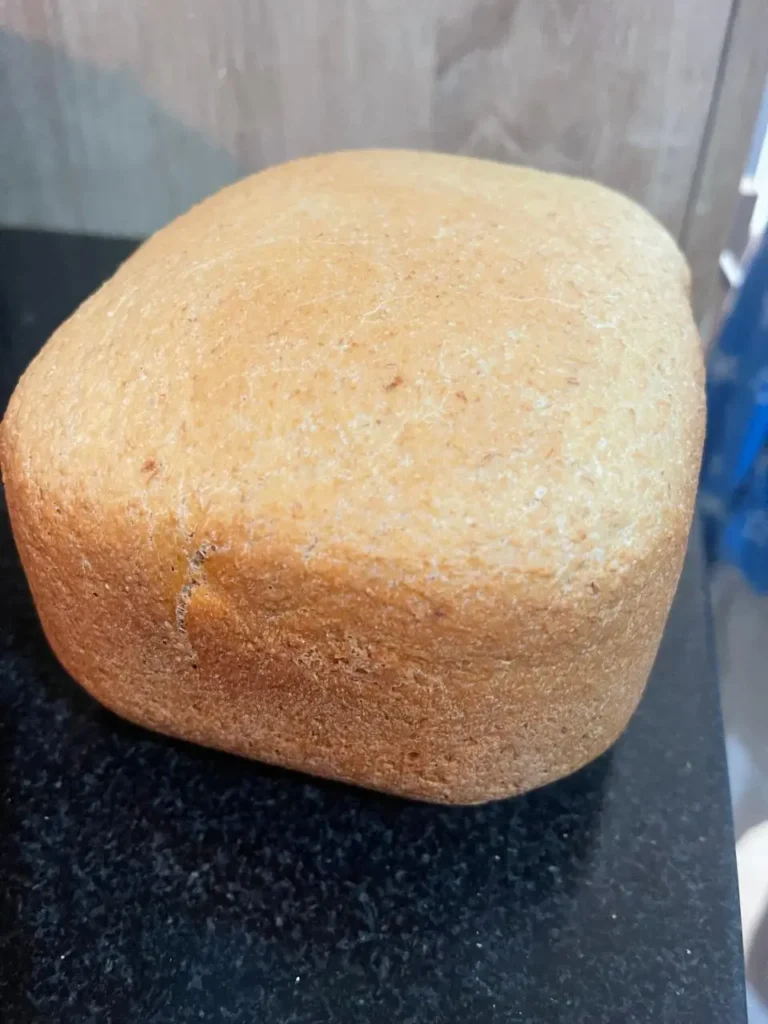 bread machine sourdough