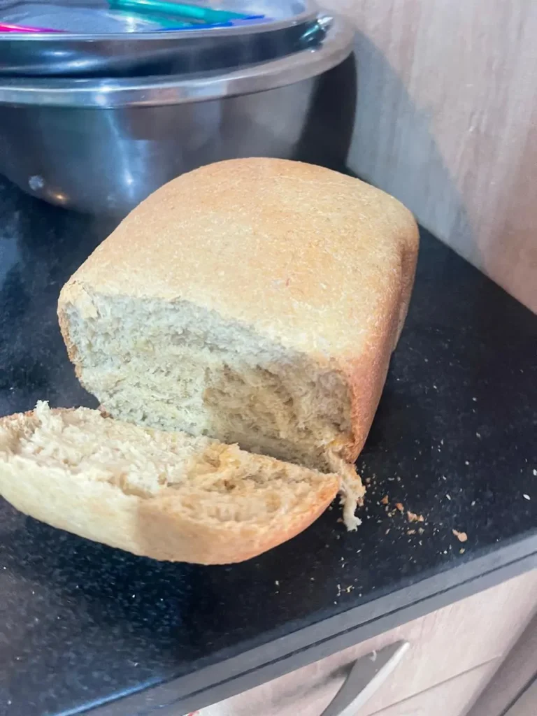 bread machine sourdough