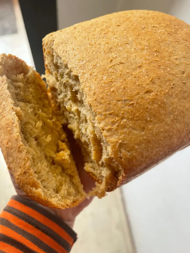 bread machine sourdough